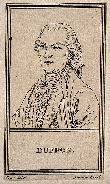 Georges Louis Leclerc, Comte de Buffon. Etching,1805,after A.Pujos.Georges-Louis Leclerc,Comte de Buffon (7 Sept. 1707-16 April 1788) was a French naturalist, mathematician,cosmologist, and encyclopédiste.His works influenced the next two generations of naturalists, including Jean-Baptiste Lamarck and Georges Cuvier.Buffon published thirty-six quarto volumes of his Histoire Naturelle during his lifetime; Georges Cuvier, Jean Baptiste, Etching, Aesthetic Wallpapers, It Works, The Next, Male Sketch, Wallpapers, Quick Saves