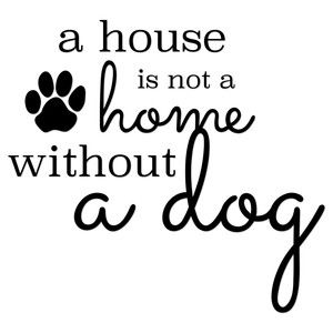 home with a dog phrase Cute Dog Sayings, Home Is Where The Dog Is, Pet Sayings, Funny Dog Sayings Signs, Dog Sayings Svg, Dog Phrases, Dog Sayings, Dog Quotes Love, Dog Treat Jar