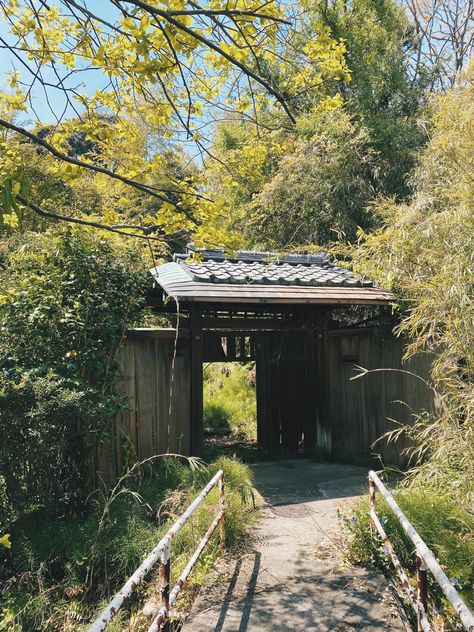 Abandoned Japan, Traditional Study, Relaxing Images, Medieval Japan, Abandoned Place, Plant Study, Japanese Interior Design, Horror Novel, Japanese Interior