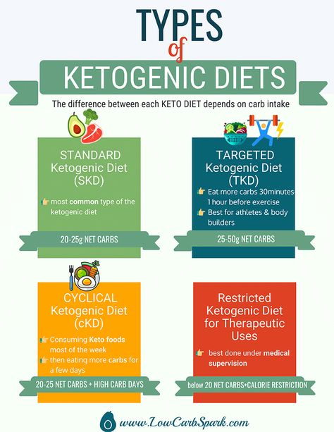 types of ketogenic diets Paleo Protein Powder, What Is Keto, Cyclical Ketogenic Diet, Paleo Protein, Keto Diet Guide, Keto Meal Plans, Nutrition Sportive, Ketosis Diet, Healthy Diets