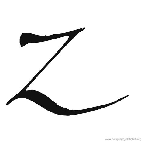 Calligraphy Alphabet Runic Z Back Tattoo Spine, Medieval Lettering, Zorro Art, Cursive Tattoo Fonts, Best Calligraphy Fonts, Tattoo Leo, Legend Of Zorro, The Legend Of Zorro, Faith Tattoos