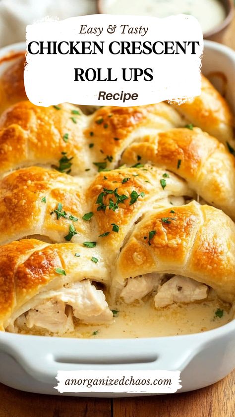 Chicken Crescent Roll Ups Chicken Croissant Ring, Crescent Roll Chicken Bundles, Chicken Alfredo Stuffed Crescent Rolls, Chicken Squares Recipe Crescent Rolls, Crescent And Chicken Roll Ups, Rotisserie Chicken And Crescent Rolls, Croissant Chicken Roll Ups, Crescent Roll And Chicken Recipes, Crescent Roll Chicken Casserole