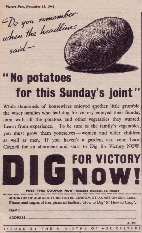 Dig For Victory Dress, Phyrric Victory, Wartime Kitchen, Cod Victory History, Victory In Europe Day, Food Rations, Victory Gardens, Wartime Recipes, Dig For Victory