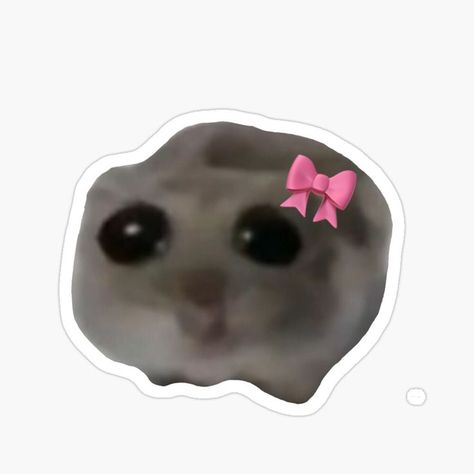 https://pin.it/3qYj45TXg Hamster Meme, Imessage Sticker, Weird Stickers, Funny Laptop Stickers, Preppy Stickers, Whatsapp Wallpaper Cute, Instagram Emoji, Cute Laptop Stickers, Cute Laptop