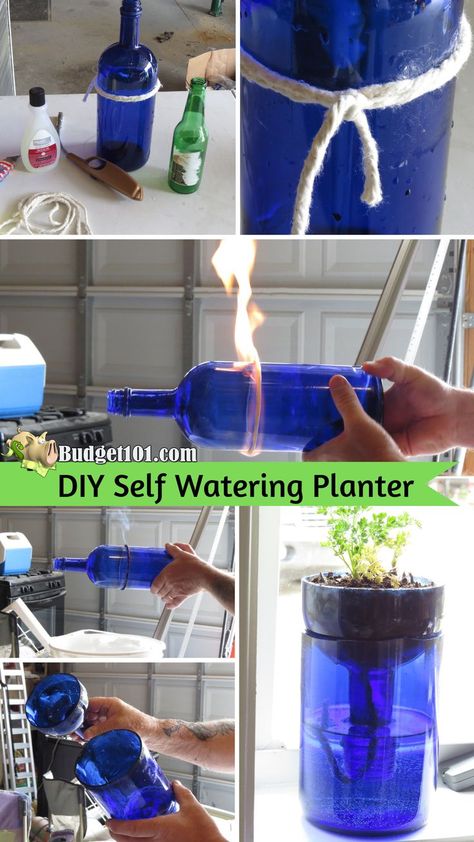 Diy Self Watering, Diy Self Watering Planter, Wine Bottle Planter, نباتات منزلية, Glass Bottle Diy, Bottle Garden, Herb Planters, Wine Bottle Diy Crafts, Wine Bottle Diy