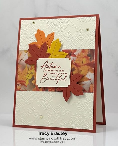 Fall Card Ideas, Fall Cards Handmade, Thanksgiving Cards Handmade, Stampin Up 2023, Autumn Paper, Autumn Cards, Thanksgiving Card, Leaf Cards, Stampin Up Card Ideas