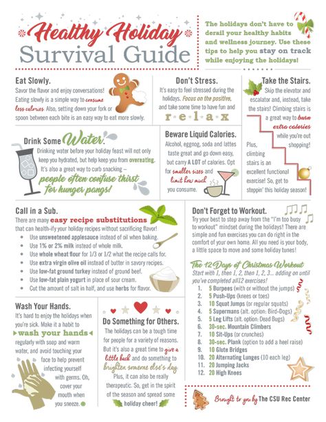 Keep your Christmas healthy Holiday Infographic, Guide Infographic, Holiday Survival Guide, Homemade Laundry, Eat Slowly, Holiday Eating, Boozy Drinks, Healthy Holidays, Wellness Journey