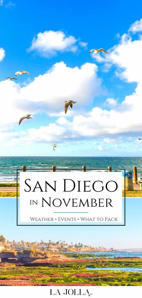 Learn what it's really like to visit San Diego in November. I live here and share tips for what to pack, weather, events, things to do, and hotel advice. Learn more here at La Jolla Mom Places To Go In San Diego, San Diego November, San Diego In November, San Diego Things To Do In, La Jolla San Diego, San Diego Hotels, La Jolla California, Seaworld San Diego, Fleet Week