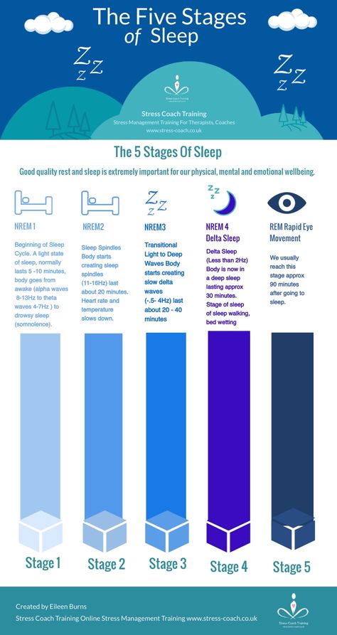 Cycle Infographic, Theta Waves, Alpha Waves, Can Not Sleep, Stages Of Sleep, Sleep Therapy, Sleep Hygiene, Meaningful Pictures, Sleep Habits