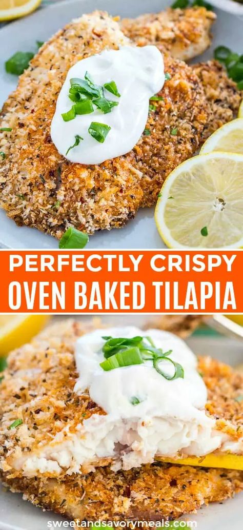 Tilapia Dinner, Breaded Tilapia, Healthy Tilapia, Tilapia Recipes Healthy, Oven Baked Tilapia, Fish Tilapia, Tilapia Recipes Easy, Baked Tilapia Recipes, Fish Breading