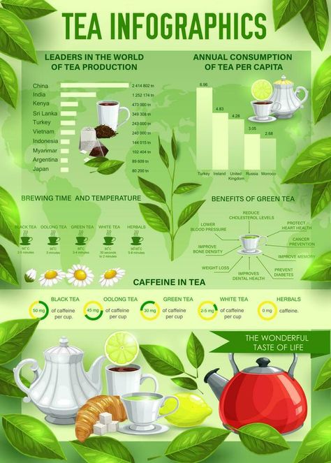 Tea beverage vector infographics, charts, graphs Tea Infographic, Photoshop Illustration Tutorial, Cd Template, Drinking Green Tea, Shop Business Ideas, Benefits Of Green Tea, Functional Beverage, Powerpoint Charts, Illustration Tutorial