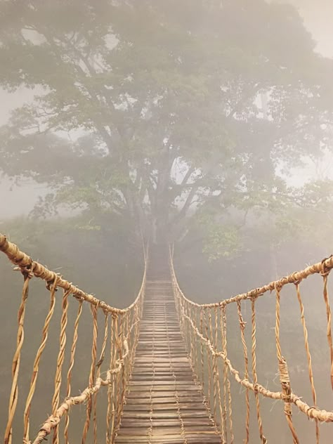 Foggy Wallpaper, Hanging Bridge, Bridge Drawing, Old Bridges, Rope Bridge, Hope Art, Conceptual Photo, Bridge Art, 3d Poster