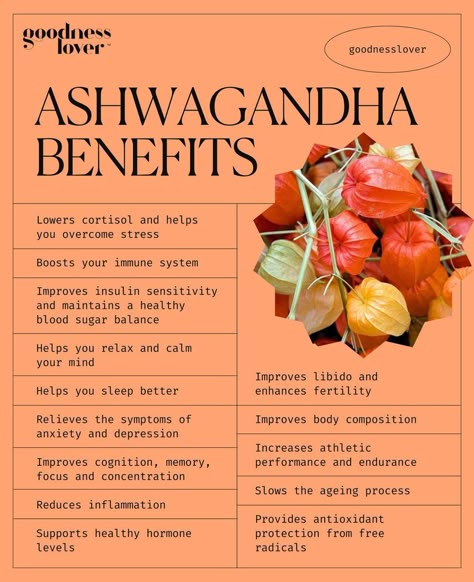 Ashwagandha Plant, Ashwagandha Benefits, Healthy Hormones, Food Health Benefits, Natural Healing Remedies, Herbal Healing, Home Health Remedies, Herbs For Health, Weekly Meal Plan