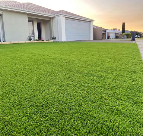 Are you in Perth and looking for residential artificial grass specialists near you? We can help.

For the past ten years, Australian Artificial Grass has been providing professional, reliable, and affordable artificial grass installation services to Perth homes. Zoysia Grass, Best Artificial Grass, Grass Installation, Artificial Grass Installation, Artificial Lawn, Past Tens, Artificial Turf, Hotel Motel, Artificial Grass