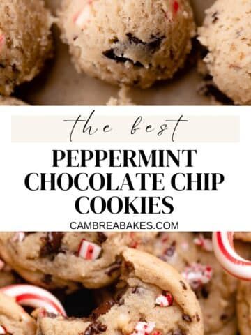 Peppermint Chocolate Chip Cookies - Cambrea Bakes Cambrea Bakes, Peppermint Cookie Recipe, Peppermint Chocolate Chip Cookies, Chocolate Peppermint Cookies, Peppermint Chocolate, Holiday Cookie Exchange, Candy Cane Cookies, Butter Toffee, Frozen Cookies