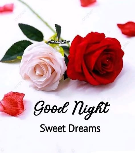 Gn Images, Beautiful Good Night Messages, Good Night Friends Images, Good Night Dear, Good Morning Dear Friend, Good Morning Love Gif, Good Afternoon Quotes, Beautiful Good Night Quotes, Good Evening Greetings