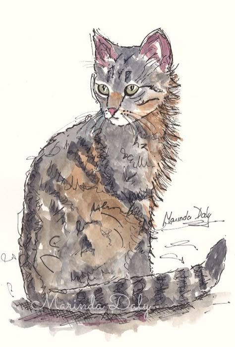 Feline Attitude. Line and wash sketch of a cat, by Marinda Daly. Sketched with black waterproof pen, and colored with Daler Rowney Artists' Water Color paints. Cat Sketch Watercolor, Watercolour And Pen Art Animals, Pen Drawing With Watercolor, Ink And Watercolour Painting, Simple Line And Wash Watercolor Sketches, Cat Watercolour Painting, Watercolor And Pen Art Animals, Watercolor With Black Pen, Line And Wash Animals