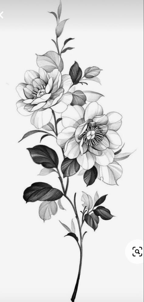 Vine Frame Tattoo, Mari Gold Flower Tattoo, Flower And Geometric Tattoo, Fineline Flowers, Flower Vine Tattoo, Birds Reference, Flower Vine Tattoos, Peony Flower Tattoos, Cool Ear Tattoos