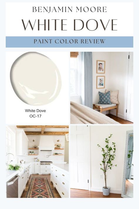 Looking for the perfect white paint for your walls or kitchen cabinets? Benjamin Moore White Dove is a classic, timeless choice! This creamy yet neutral white paint color is incredibly versatile, making it a popular pick for everything from home exteriors to cabinets, walls, and trim. Discover why White Dove is beloved for its ability to complement various styles and spaces, adding warmth and elegance wherever it’s used. White Dove Exterior Paint Benjamin Moore, Trim Color For White Dove Walls, White Dove Kitchen Walls, White Dove Benjamin Moore Bedroom, Pale Oak Walls White Dove Trim, White Dove Walls And Trim, Benjamin Moore White Dove Walls, White Dove Paint Color, Benjamin Moore Dove White