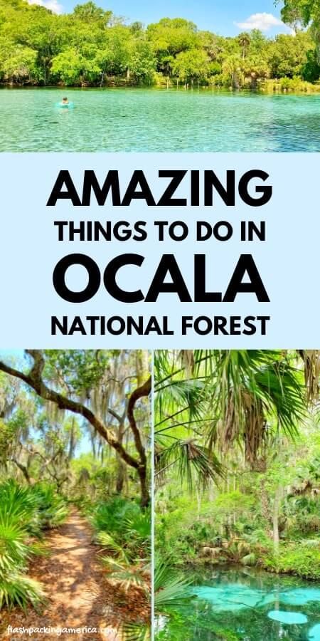 Ocala National Forest 🌴 Things to do for VIEWS! camping, hiking, picnic, swimming, turtles, alligators 🌴 Florida travel blog - Flashpacking America Places To Visit In Florida, Florida Road Trip, Winter Road Trip, Orlando Florida Vacation, Things To Do In Florida, America Florida, Ocala National Forest, Northern Florida, Florida Travel Guide