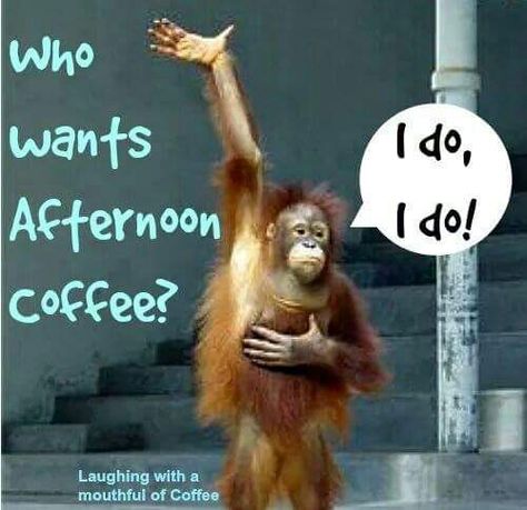 Coffee Laughs, Kaffe Humor, Coffee Express, Coffee Jokes, Afternoon Coffee, Coffee Talk, Coffee Obsession, Coffee Pictures, Coffee Wine