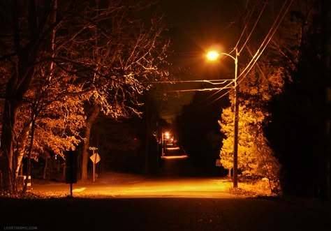 tree Light Pictures Aesthetic, Streetlights Aesthetic, Orange Light Aesthetic, Street Light Photography, Street Lights Aesthetic, Evening Trees Aesthetic, Street Lights At Night, Tree Night Photography, Tree Lined Street Aesthetic