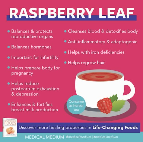 Medical Medium Blog: read Raspberry Leaf: Life-Changing Herb now at www.medicalmedium.com Rasberry Leaf Tea, Raspberry Leaf Tea Benefits, Anthony William Medical Medium, Liver Rescue, Medical Medium Recipes, Medium Recipe, Raspberry Leaf Tea, Pregnancy Help, Help Hair Grow