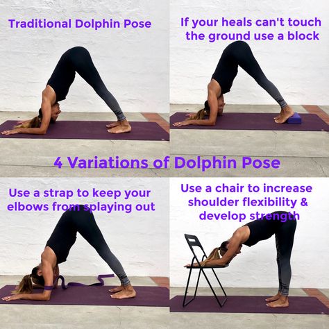 Yoga - Variations of Dolphin Pose Yoga for every body & mind Yasmin Springer Yoga Yoga Dolphin Pose, Barre Stretches, Dolphin Pose Yoga, Yoga Variations, Spirituality Practice, Yoga With Props, Shoulder Flexibility, Stronger Everyday, Yoga Sequencing