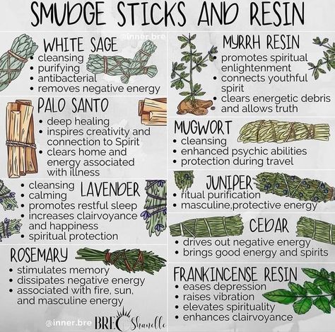 Herbs For Smudging, Magickal Herbs, Frankincense Resin, Witch Spirituality, Magic Herbs, Clean Space, Energy Healing Spirituality, Witch Spell Book, Herbal Healing