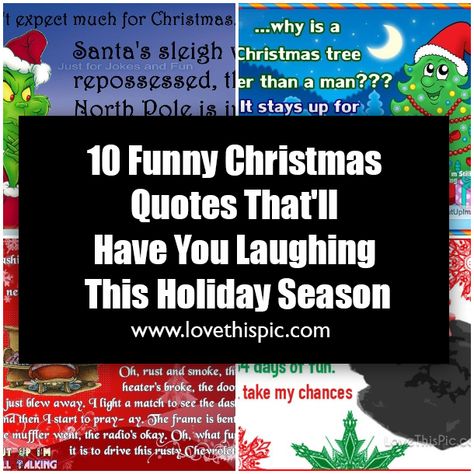 10 Funny Christmas Quotes That'll Have You Laughing This Holiday Season Funny Christmas Shopping Quotes, Silly Christmas Quotes, Christmas Funnies Humor, Funny Christmas Poems Hilarious, Happy Holidays Quotes Funny, Snarky Christmas Quotes, Xmas Quotes Funny, Funny Christmas Sayings Humor, Funny Christmas Quotes Humor