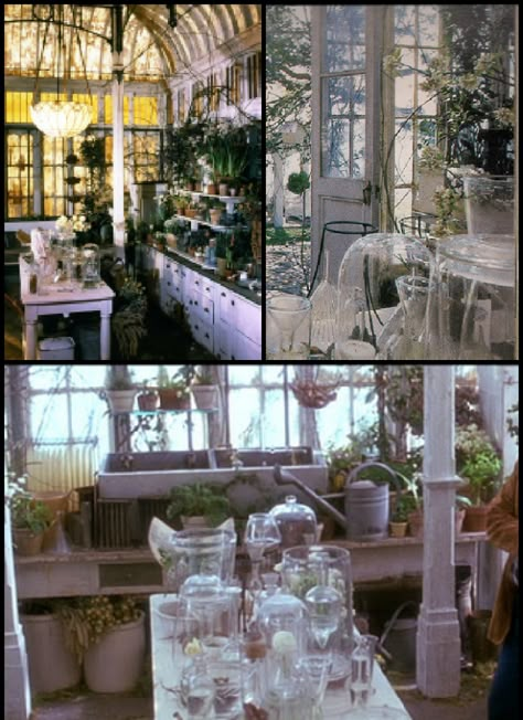 Practical Magic conservatory compilation                                                                                                                                                                                 More Practical Magic Apothecary, Practical Magic Greenhouse, Practical Magic Aesthetic Wallpaper, Practical Magic Kitchen Inspiration, Practical Magic Bedroom, Practical Magic House Aesthetic, Magic Greenhouse, Practical Magic Wedding, Practical Magic Decor