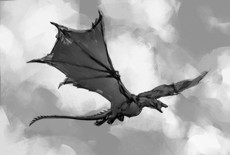 Flying Dragon Reference, Dragons Flying Together, Flying Dragon Illustration, Dragon Flying Reference, Wyvern Flying, Dragon Flying Drawing, Flying Dragon Drawing, Dragon Front View, Dragon Art Painting