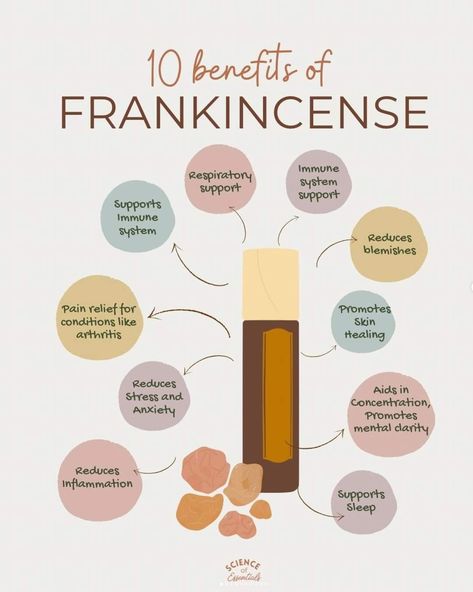 Who knew that Frankincense had so many uses? 
My favorite way to use Frankincense is for the dark circles under my eyes 👀 
Simply grab a roller ball bottle add a few drops of Frankincense fill the rest with your favorite carrier oil. Give it a good and roll it under your eyes 👀 gently rub in. I generally do this at night.

What's your favorite way to use Frankincense? Benefits Of Frankincense Essential Oil, Benefits Of Frankincense Oil, Benefits Of Frankincense, Frankincense Essential Oil Benefits, Frankincense Benefits, Essential Oils 101, Frankincense Oil, Essential Oil Benefits, Frankincense Essential Oil