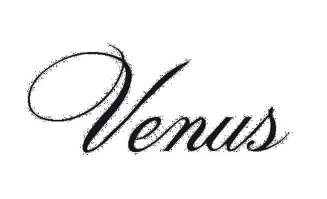 Venus Logo Design, Venus Tattoo Design, Venus Poster, Venus Tattoo, Tattoo 2022, Cursive Tattoos, Handmade Logo, Tattoo Script, Name Letters