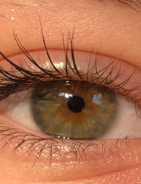 #hazeleyes #eyes #aesthetic #naturalmakeup Hazel Eyes Aesthetic Girl, Green Hazel Eyes Aesthetic, Hazel Green Eyes Aesthetic, Aesthetic Hazel Eyes, Hazel Eyes Girl, Hazel Eyes Aesthetic, Caroline Core, Green Hazel Eyes, Horse Land