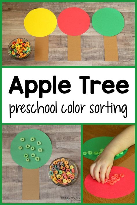 Team Building Preschool Activities, Apple Theme Math Activities For Preschool, Apple Sorting Activity, Apple Playdough Tray, Apple Picking Preschool Activity, Apple And Pumpkin Activities Preschool, Fall Apple Activities For Preschool, Apple Centers Preschool, Color Identification Preschool