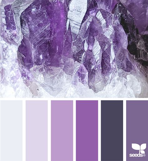 Amethyst Color Palette, Purple Color Palette, Seeds Color, Purple Color Palettes, Coloring Journal, Colour Pallets, Hue Color, Color Schemes Colour Palettes, Color Pallete