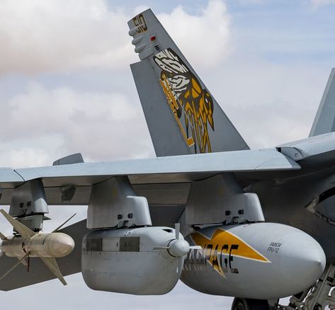 VAQ-138 Yellowjackets Electronic Attack Squadron EA-18G Growler Prairie Fire, Uss Nimitz, Operation Iraqi Freedom, Picture Banner, Super Hornet, World Cruise, Ocean Cruise, New Aircraft, Naval Aviation