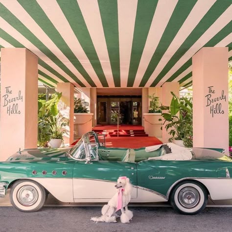 Beverly Hills Hotel Green Convertible, Beverly Hill, The Beverly Hills Hotel, Gray Malin, Adventure Lifestyle, Beverly Hills Hotel, Slim Aarons, Pet Friendly Hotels, Hotel Project