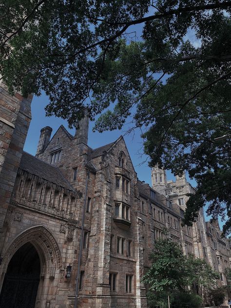 yale university ivy league aesthetic dark academia Ivy League Academia Aesthetic, The Ivies Book Aesthetic, Ivy University Aesthetic, The Ivy League Aesthetic, Vision Board Ivy League, Iv League Aesthetic, College University Aesthetic, University Astethic, Rory Gilmore Yale Aesthetic