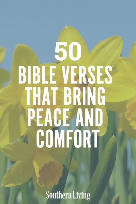 Encourage Verse Bible, Scripture To Comfort, Scriptures Of Comfort, Prayers Of Strength And Comfort, Words Of Peace And Comfort, Search My Boards, Scripture Comfort, Comforting Sayings, Biblical Inspirational Quotes For Women