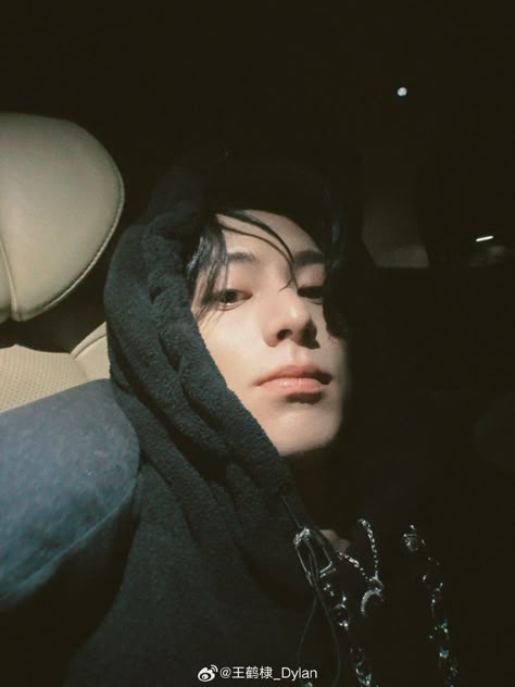 Dylan Wang Selfie, Dylan Wang Icons, Dylan Wang Boyfriend Material, Dylan Lee, Wang Dylan, Dylan Wang Meteor Garden, Brown Hair Looks, Wang He Di, 20 December