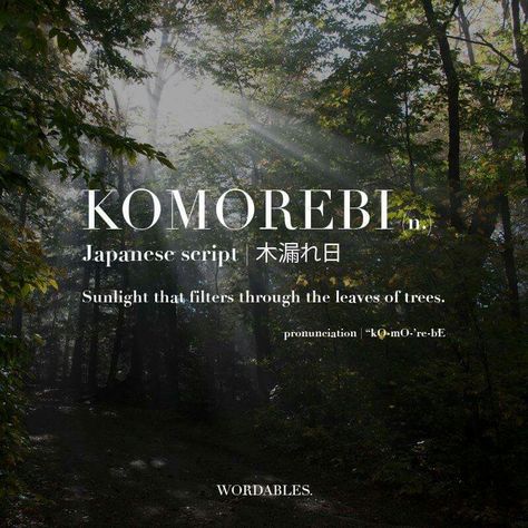 Nice Beautiful Japanese Words, Japanese Practice, Vision Board Diy, Japanese Quotes, Uncommon Words, Japanese Language Learning, Descriptive Words, Learning Japanese, Weird Words