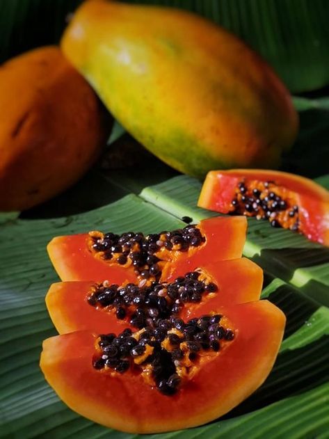 Tropical Fruit Photography, Tropical Still Life, Food Photography Fruit, Papaya Plant, Fruit Paradise, Papaya Art, Fruit Diet, Unique Fruit, Kinds Of Fruits