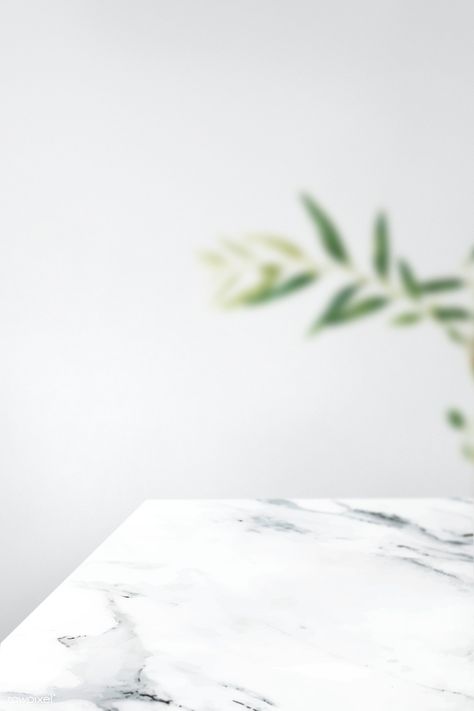 Plain gray wall with leaf and white marble table product background | free image by rawpixel.com Plain Yellow Background, Product Backdrop, Food Background Wallpapers, Photography Backdrops Diy, Product Background, Table Background, Soya Mumu, White Marble Table, Sage Green Walls