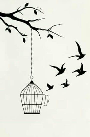 Bird cage tattoo idea Bird And Cage Drawing, Bird Cage Drawing Sketches, Doodle Art Birds, Simple Bird Drawing Sketches, Bird In Cage Drawing, Bird In A Cage Drawing, Cute Bird Drawing Simple, Bird Out Of Cage, Caged Bird Art