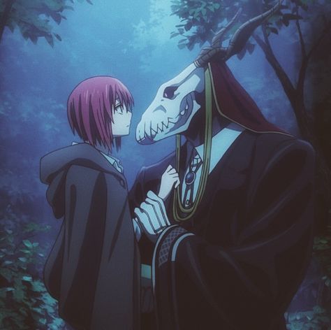 Ancient Magus Bride Season 2, Pfp Icon Aesthetic, Magnus Bride, Aesthetic Romance, Chise Hatori, Elias Ainsworth, Magus Bride, Ancient Magus Bride, The Ancient Magus Bride