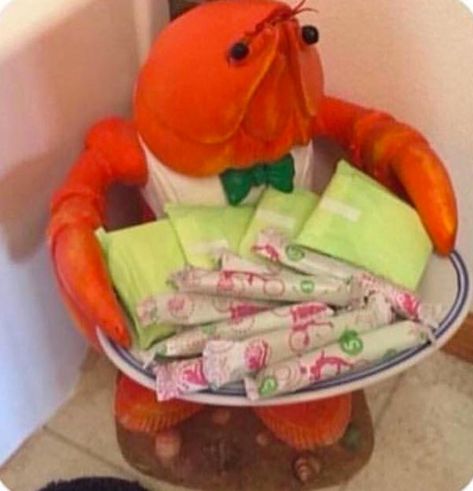 A crustacean menstruation station? #odd #weird #decor #strange #lol Menstruation Crustacean, Koti Diy, Collage Mural, Future Apartment, Watch Movies Online, Bathroom Toilet, Dream Apartment, Humble Abode, Watch Tv Shows