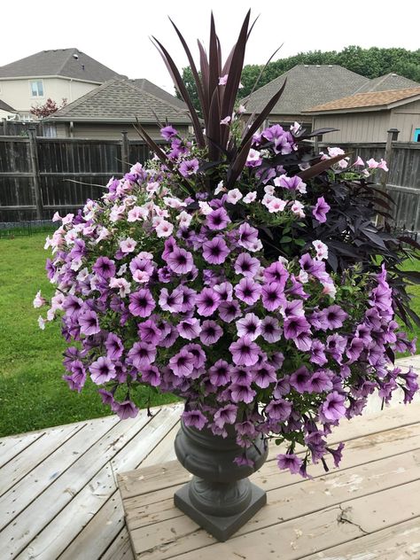 Flower Pot Planting Ideas, Pot Planting Ideas, Pot Planter Ideas, Petunia Planter, Garden Design Vegetable, Patio Flower Pots, Potted Plants Patio, Garden Tips And Tricks, Garden Diy Projects