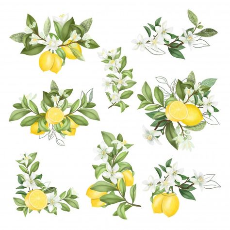 Hand drawn bouquets and compositions of ... | Premium Vector #Freepik #vector #flower #food #tree #hand Lemon Tattoo, Lemon Clipart, Leaves Sketch, Plant Cartoon, Plant Sketches, Lemon Flowers, Lemon Wreath, Tree Clipart, Kids Wall Decals